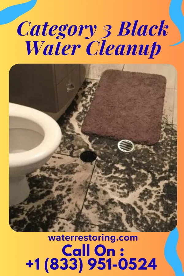 Category 3 Black Water Cleanup in Turley, NM